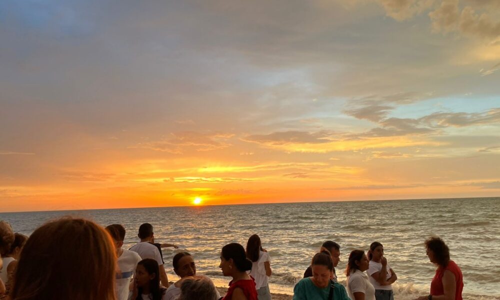 LIBERAN 131 CRÍAS DE TORTUGAS DEL CAMPAMENTO PLAYA BONITA