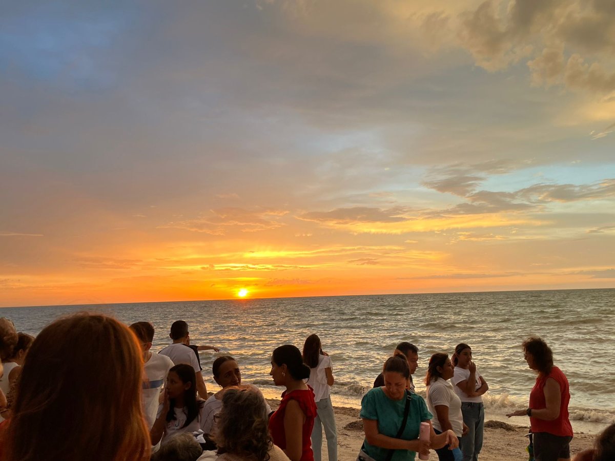 LIBERAN 131 CRÍAS DE TORTUGAS DEL CAMPAMENTO PLAYA BONITA