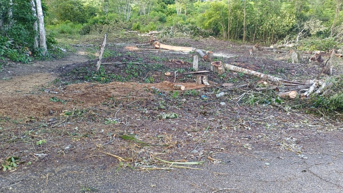 INICIA CAPAE LA AMPLIACIÓN DEL SISTEMA DE AGUA POTABLE EN DIECISÉIS DE SEPTIEMBRE (LAGUNA DE ALVARADO)