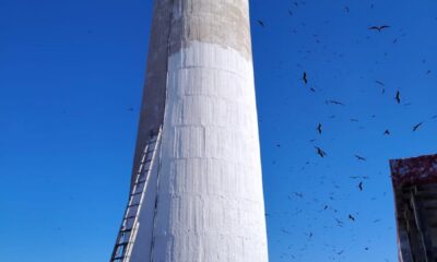 APICAM REALIZA TRABAJOS DE MANTENIMIENTO AL FARO DE CAYO ARCAS