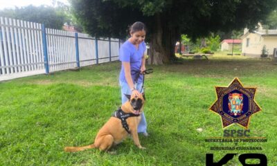 SPSC REALIZA DEMOSTRACIÓN CANINA EN ESCÁRCEGA