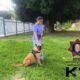 SPSC REALIZA DEMOSTRACIÓN CANINA EN ESCÁRCEGA