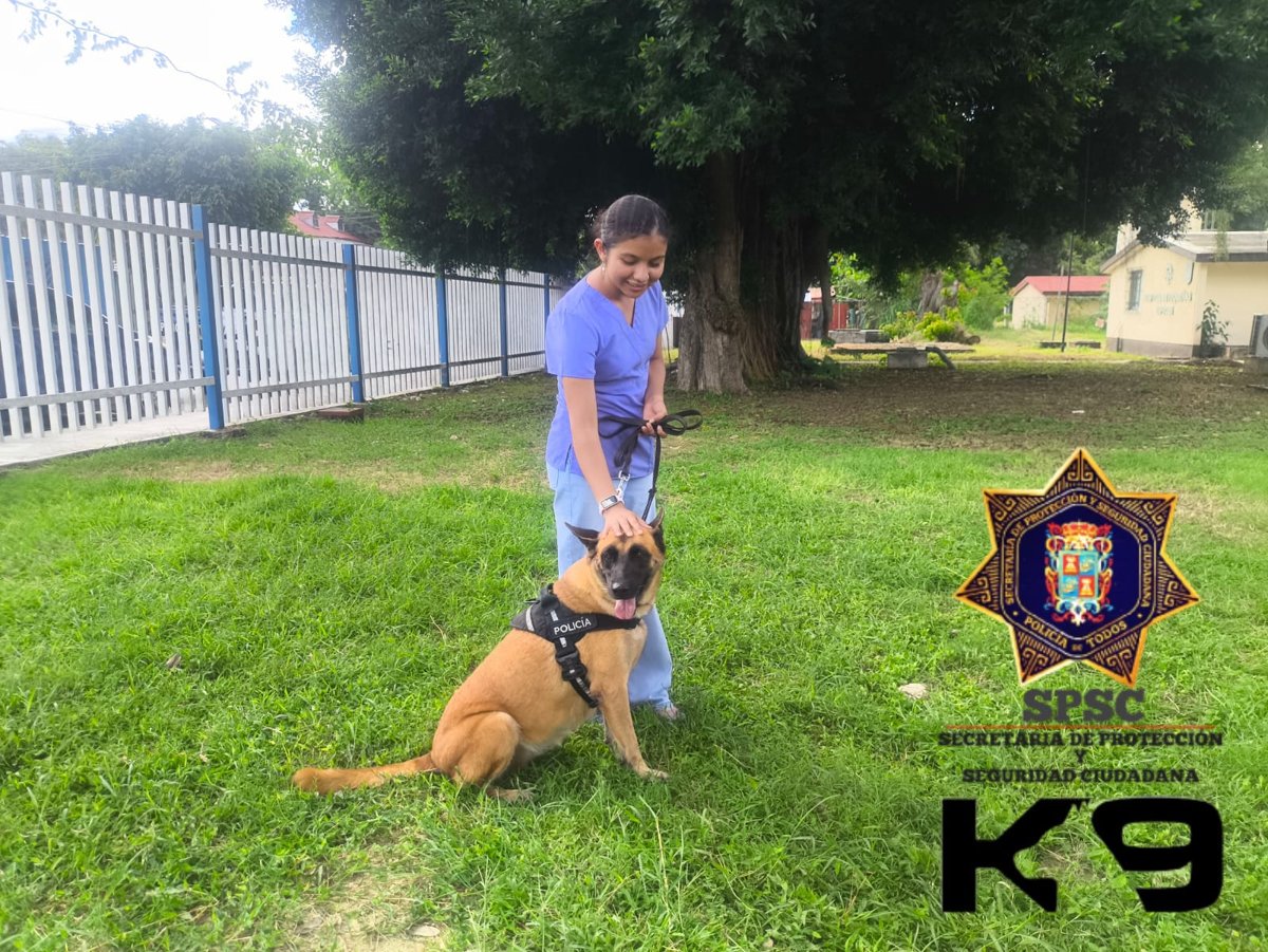 SPSC REALIZA DEMOSTRACIÓN CANINA EN ESCÁRCEGA