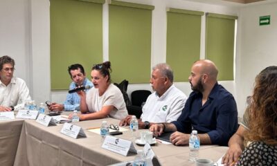 IMÁGENES: https:/ /we.tl/t-wnH5M47Ll0
