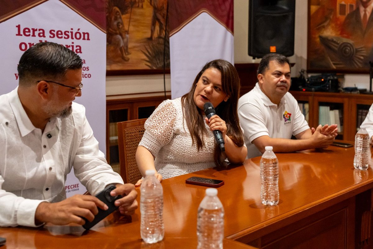 INSTALA LIZ HERNÁNDEZ LA MESA DIRECTIVA ESTATAL DE LA CONASYR– AALMAC EN CAMPECHE