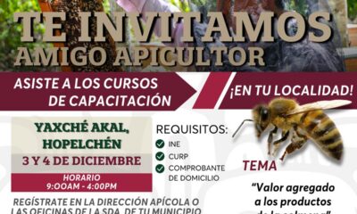 CURSO EN APICULTURA EN YAXCHÉ AKAL, HOPELCHÉN