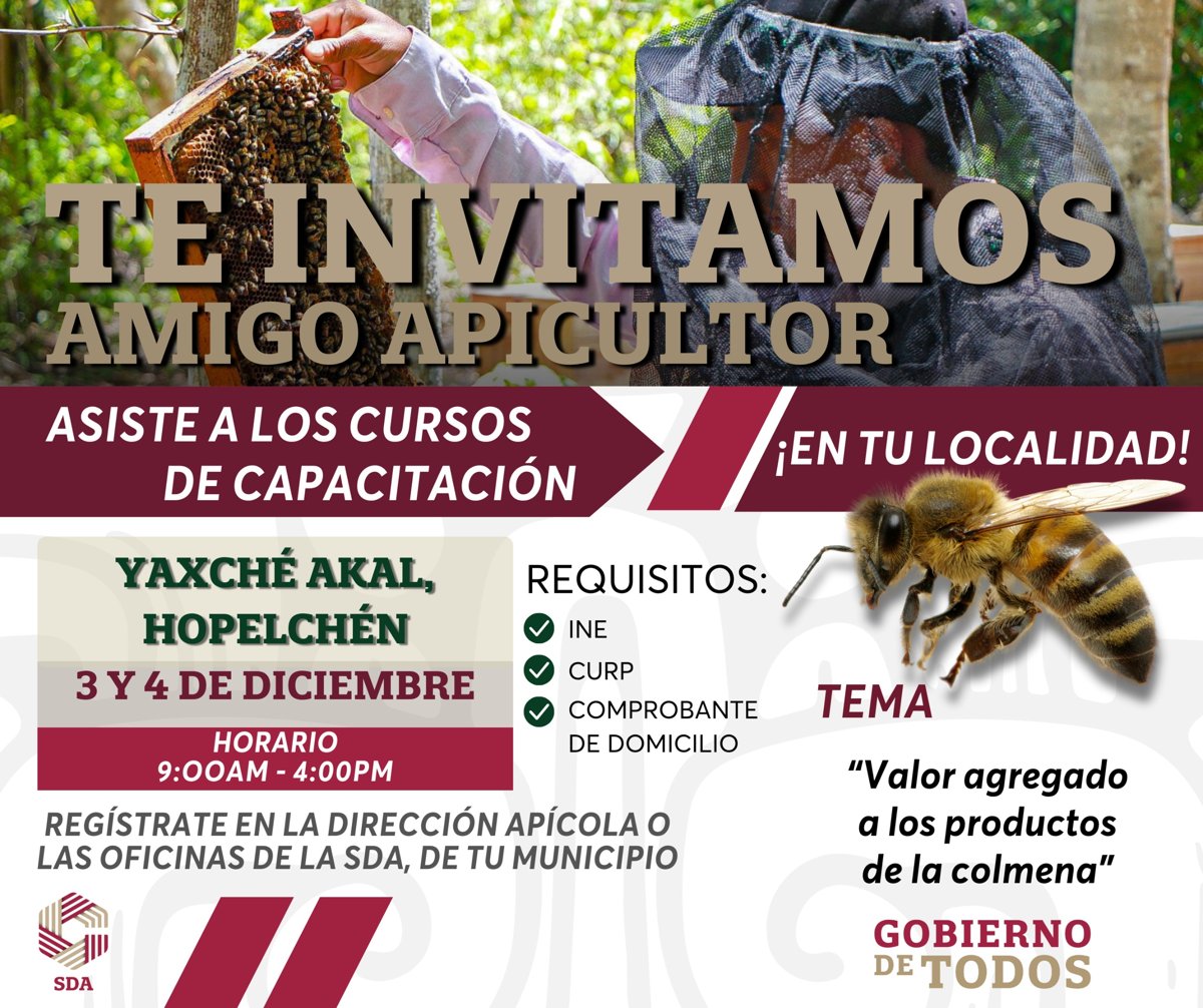 CURSO EN APICULTURA EN YAXCHÉ AKAL, HOPELCHÉN