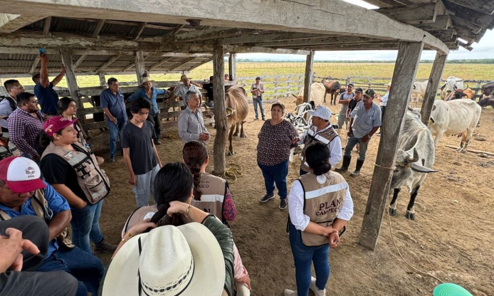 CAPACITACIONES ALINEADAS AL PLAN CAMPECHE