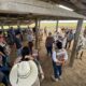 CAPACITACIONES ALINEADAS AL PLAN CAMPECHE