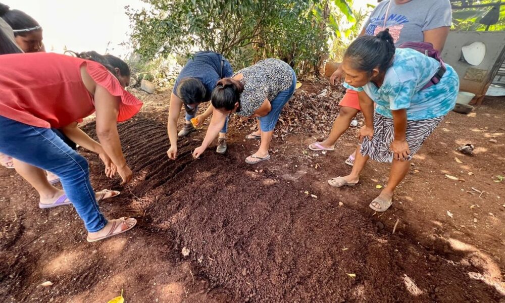 FOMENTAN PRODUCTIVIDAD AGRÍCOLA EN POBLADORES DE KOBÉN