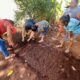 FOMENTAN PRODUCTIVIDAD AGRÍCOLA EN POBLADORES DE KOBÉN