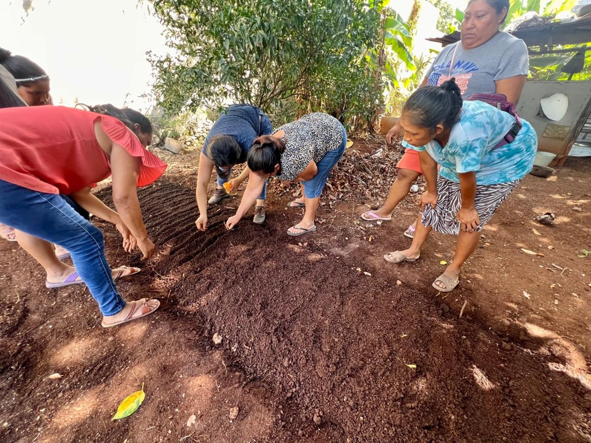 FOMENTAN PRODUCTIVIDAD AGRÍCOLA EN POBLADORES DE KOBÉN