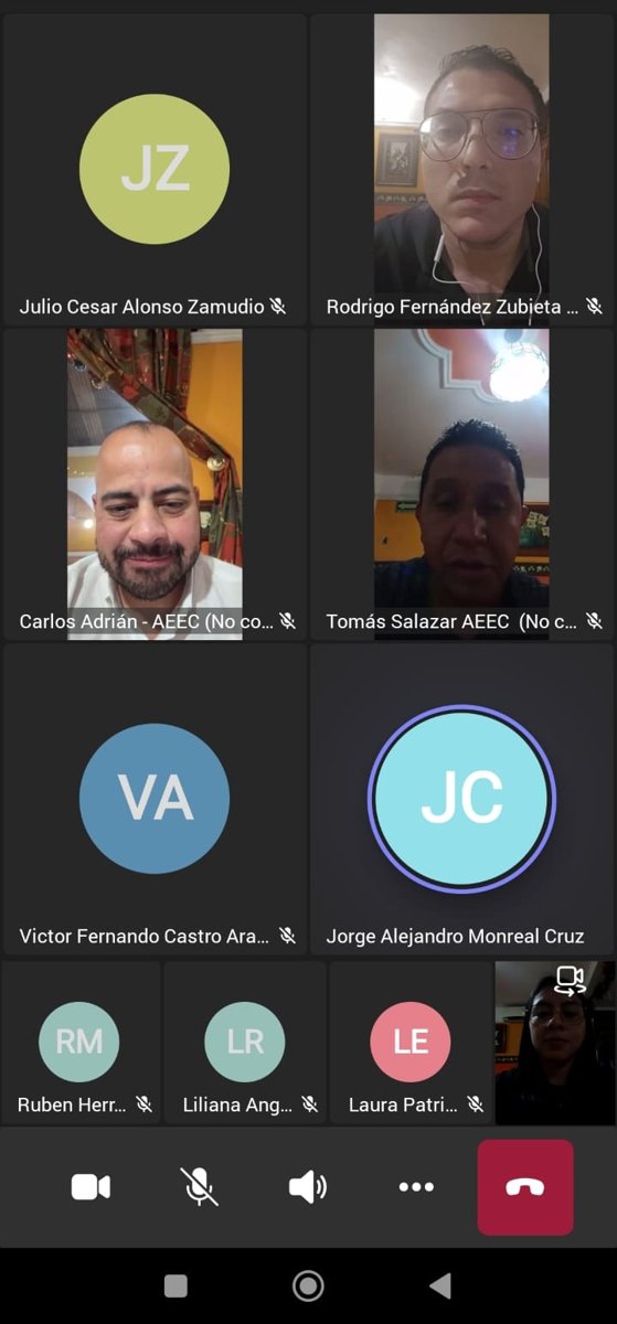 REUNIÓN VIRTUAL CON LA UNIDAD DE HIDROCARBUROS DE LA COMISIÓN NACIONAL DE ENERGÍA (CNE)