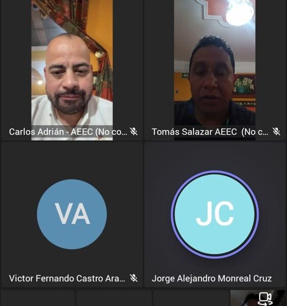 REUNIÓN VIRTUAL CON LA UNIDAD DE HIDROCARBUROS DE LA COMISIÓN NACIONAL DE ENERGÍA (CNE)