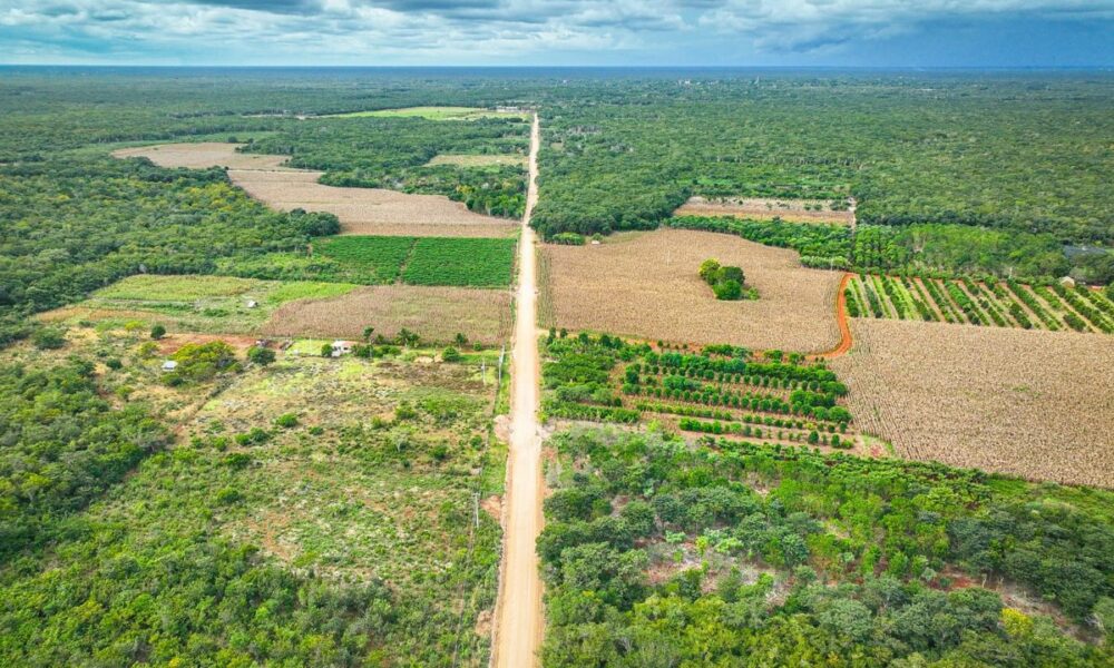 REHABILITACIÓN DE CAMINO COSECHERO EN BÉCAL, CALKINÍ; SDA