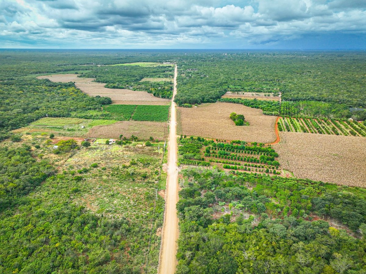 REHABILITACIÓN DE CAMINO COSECHERO EN BÉCAL, CALKINÍ; SDA