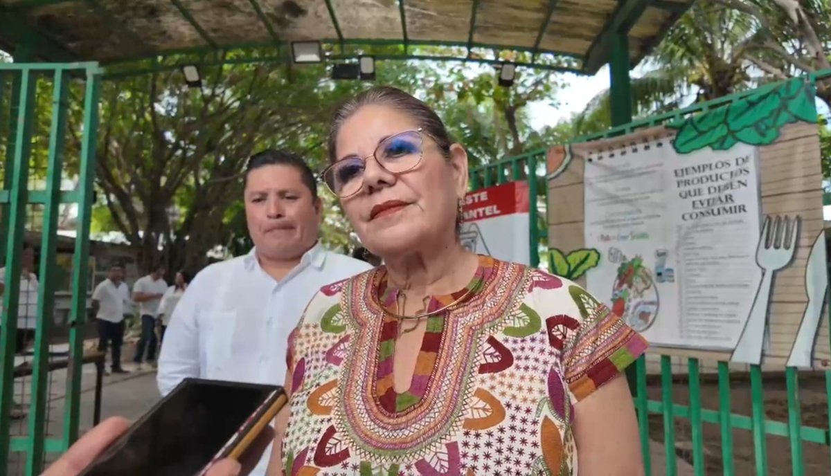 REGULACIÓN DE POCHIMÓVILES BUSCA GARANTIZAR SEGURIDAD DE USUARIOS EN CIUDAD DEL CARMEN