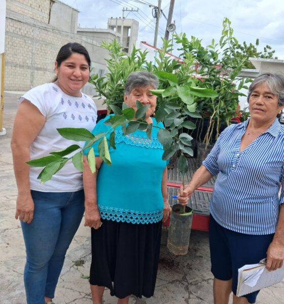 SDA ENTREGA PLANTAS FRUTALES PARA PROMOVER EL DESARROLLO ECONÓMICO DE LA REGIÓN DE ATASTA
