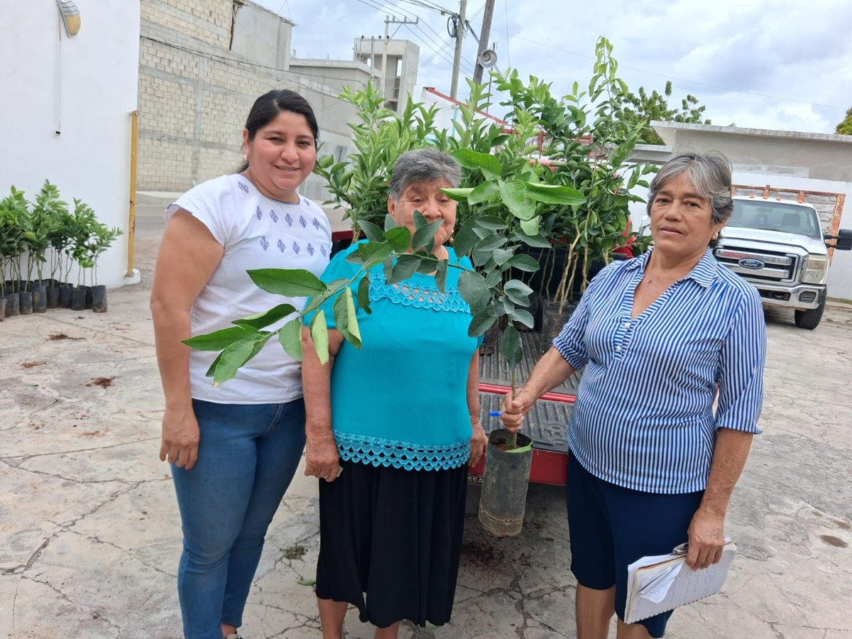 SDA ENTREGA PLANTAS FRUTALES PARA PROMOVER EL DESARROLLO ECONÓMICO DE LA REGIÓN DE ATASTA