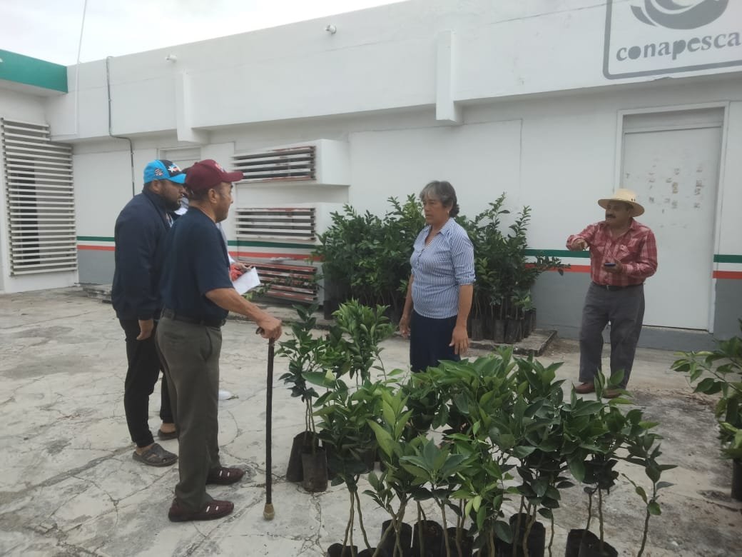 SDA ENTREGA PLANTAS FRUTALES PARA PROMOVER EL DESARROLLO ECONÓMICO DE LA REGIÓN DE ATASTA