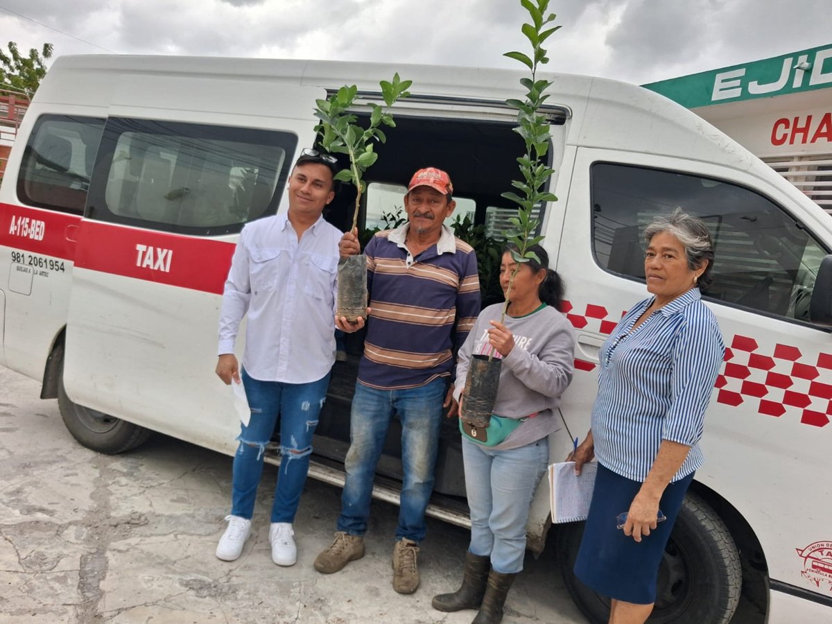 SDA ENTREGA PLANTAS FRUTALES PARA PROMOVER EL DESARROLLO ECONÓMICO DE LA REGIÓN DE ATASTA