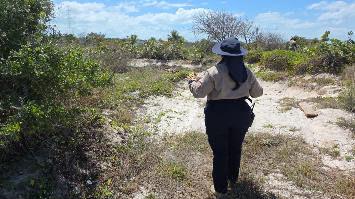LA CLBP REALIZA ACCIONES DE BÚSQUEDA EN LA LOCALIDAD DE ISLA AGUADA