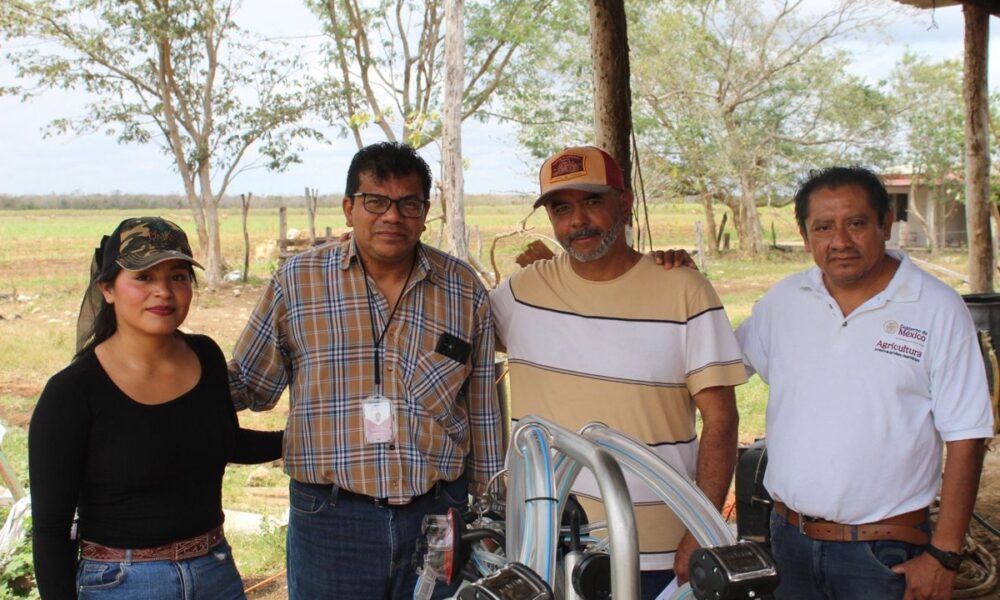 AVANZA EL PLAN CAMPECHE CON APOYOS AL SECTOR GANADERO