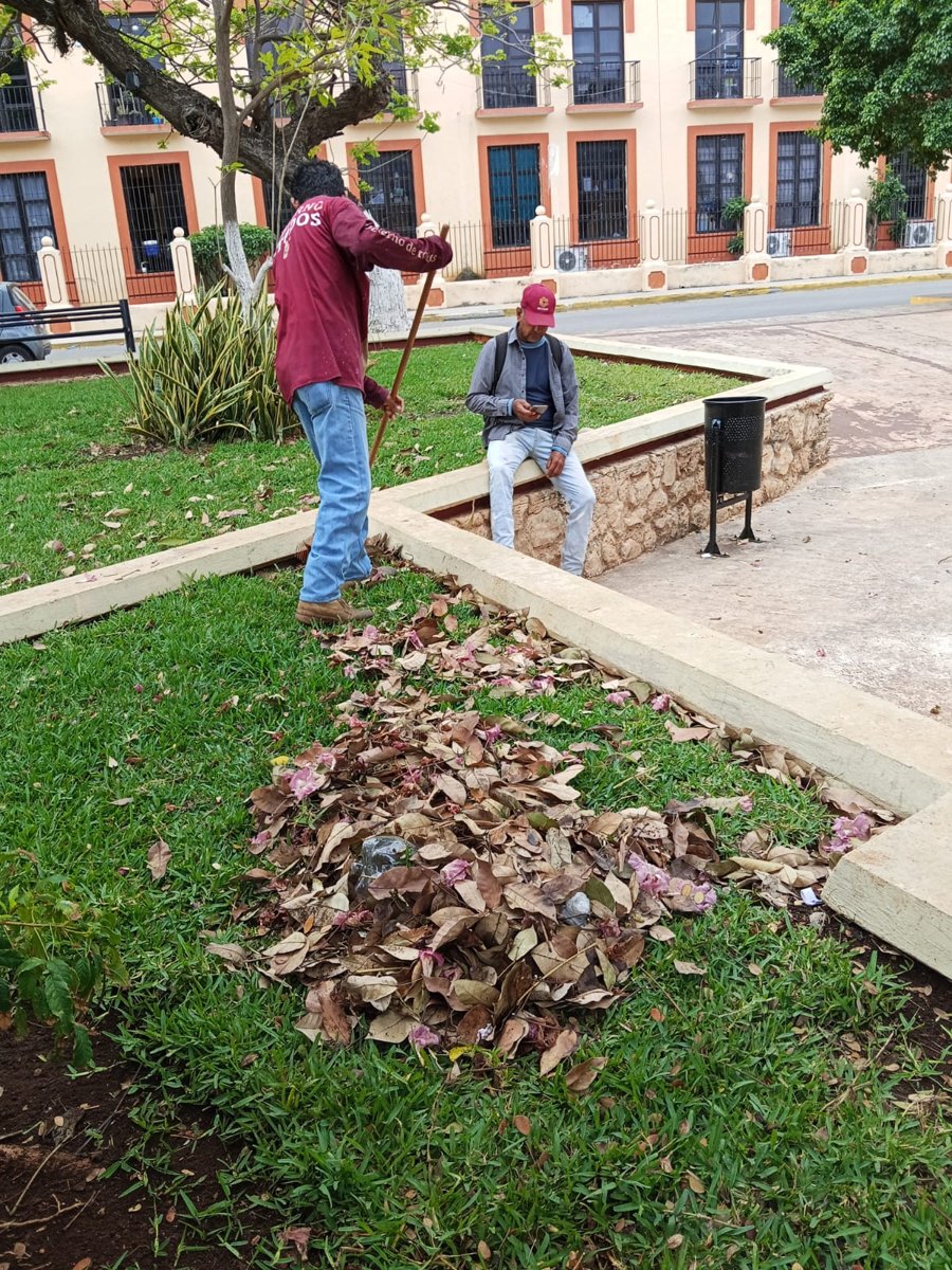 LIMPIEZA PARQUES Y JARDINES SEDUMOP