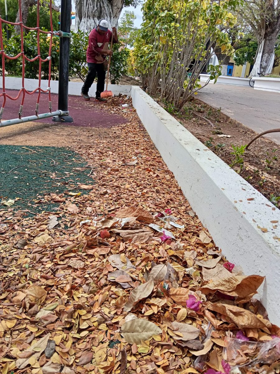 LIMPIEZA PARQUES Y JARDINES SEDUMOP