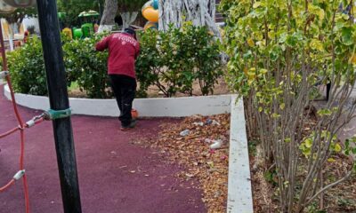LIMPIEZA PARQUES Y JARDINES SEDUMOP