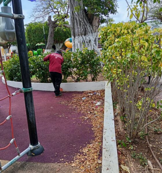LIMPIEZA PARQUES Y JARDINES SEDUMOP