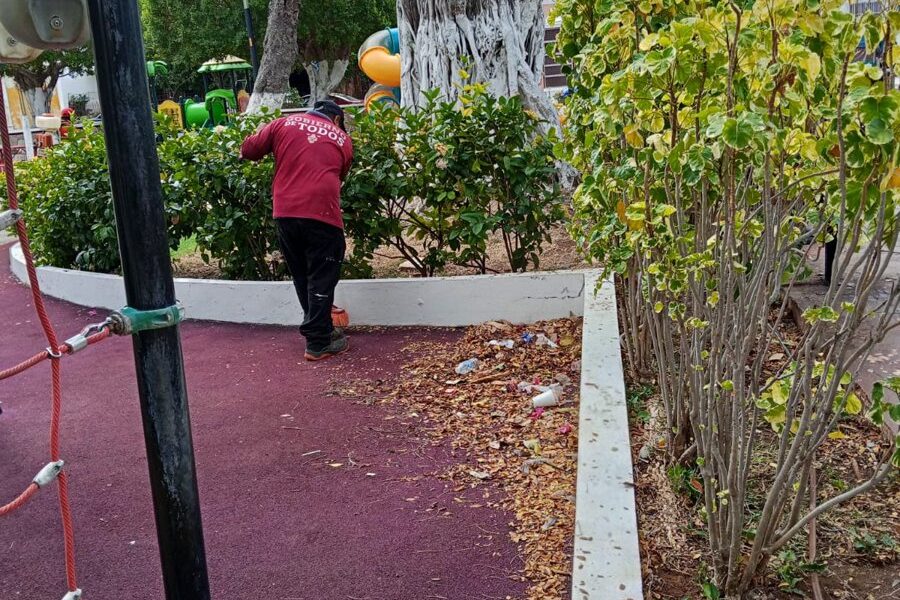 LIMPIEZA PARQUES Y JARDINES SEDUMOP