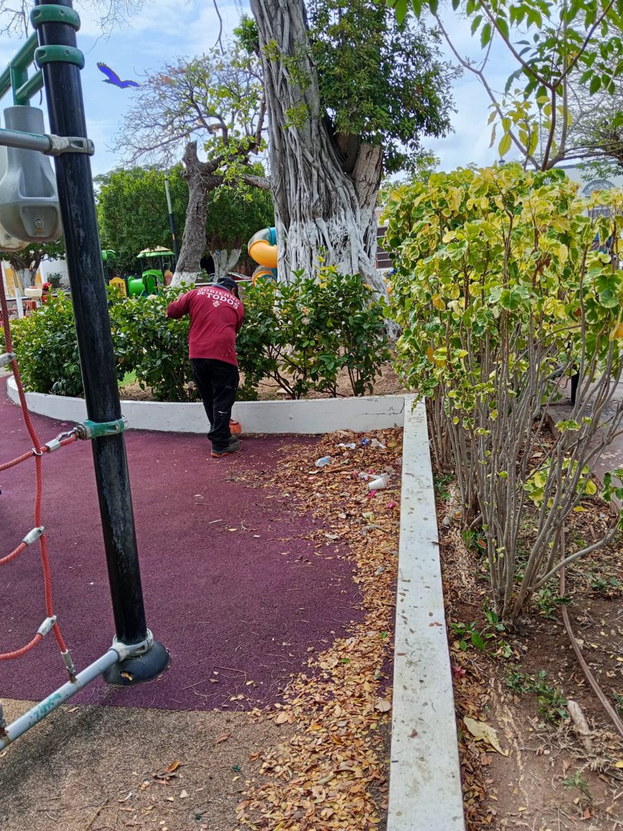 LIMPIEZA PARQUES Y JARDINES SEDUMOP