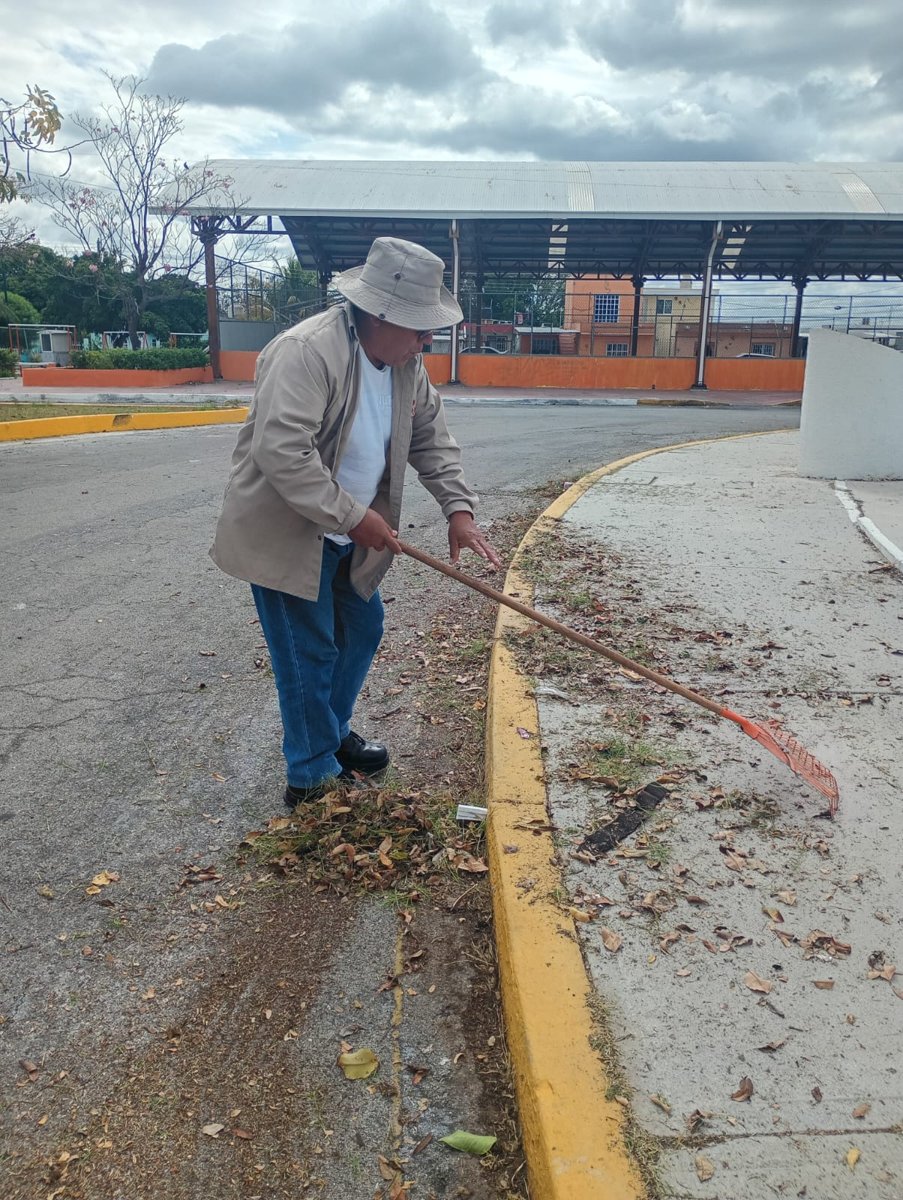 LIMPIEZA PARQUES Y JARDINES SEDUMOP