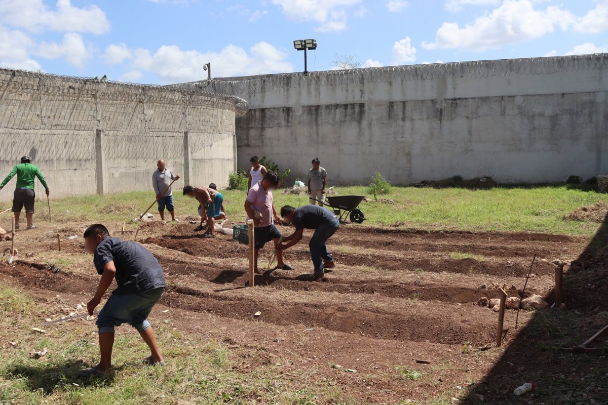 IMPULSA GOBIERNO DE TODOS REINSERCIÓN SOCIAL CON PROYECTO “HUERTO COMUNITARIO” EN CENTRO PENITENCIARIO