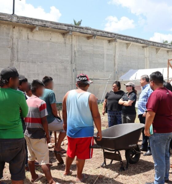IMPULSA GOBIERNO DE TODOS REINSERCIÓN SOCIAL CON PROYECTO “HUERTO COMUNITARIO” EN CENTRO PENITENCIARIO