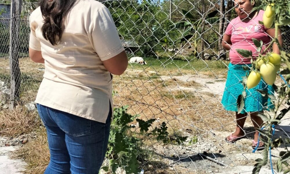 FORTALECEN EL TRABAJO CONTRA LAS ADICCIONES Y LA PROTECCIÓN DE LA SALUD MENTAL EN CANDELARIA