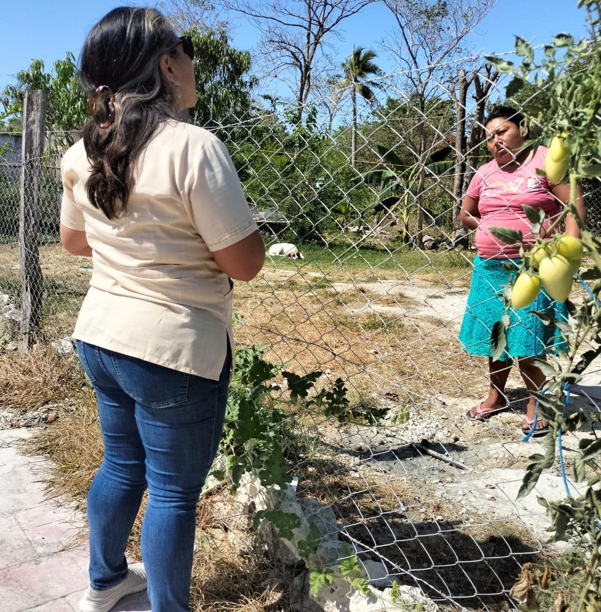 FORTALECEN EL TRABAJO CONTRA LAS ADICCIONES Y LA PROTECCIÓN DE LA SALUD MENTAL EN CANDELARIA