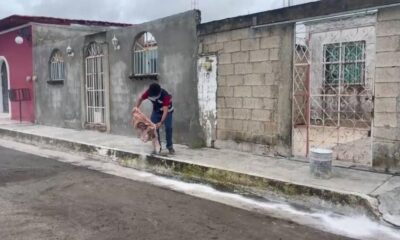 INTENSIFICA COPRISCAM ACCIONES DE SANEAMIENTO BÁSICO EN COMUNIDADES AFECTADAS POR LAS LLUVIAS