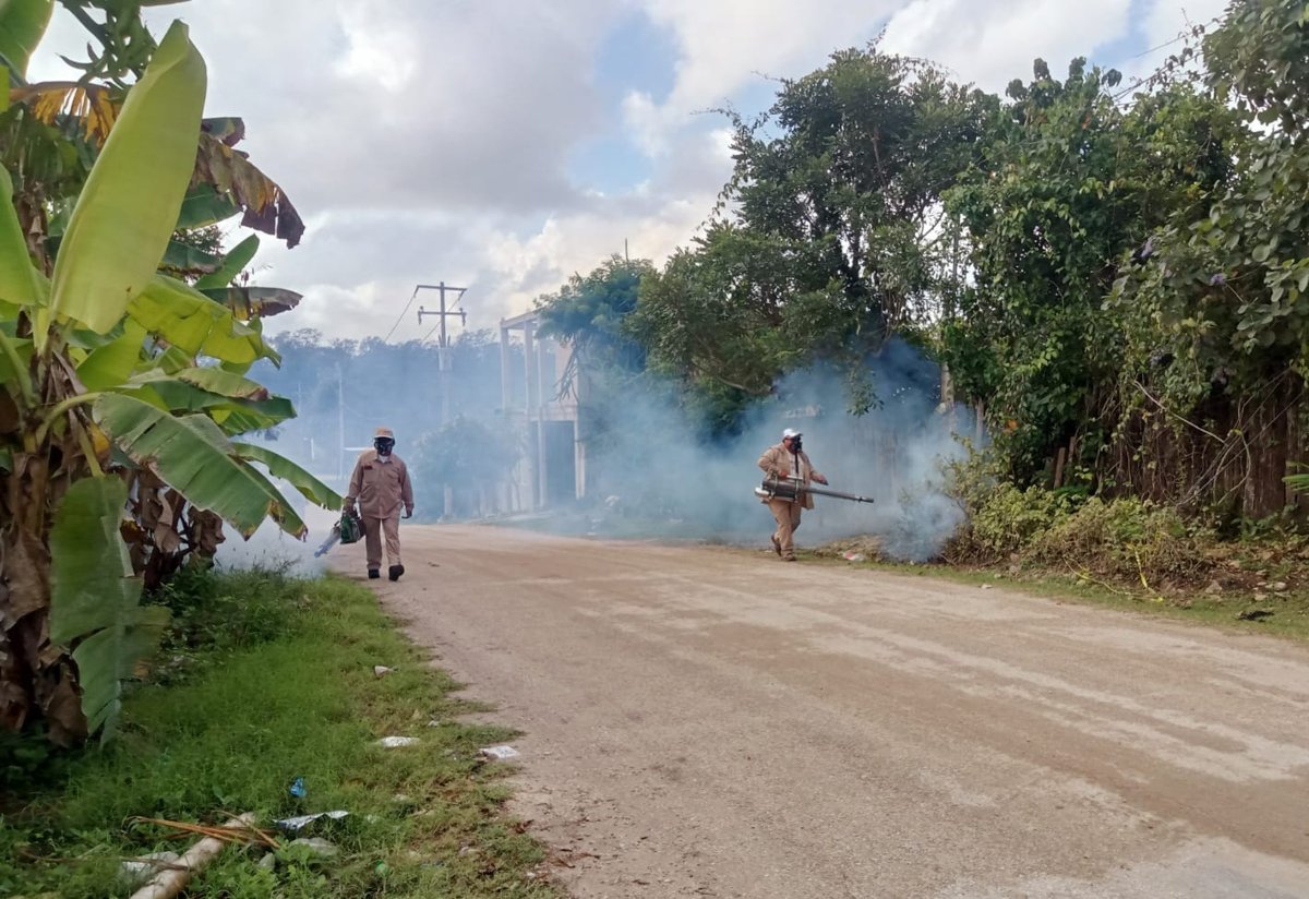 REFUERZAN NEBULIZACIÓN EN 147 LOCALIDADES PARA COMBATIR EL DENGUE