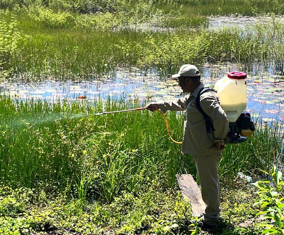 NEBULIZAN CONTRA EL DENGUE 76 MIL 520 HECTÁREAS DE CAMPECHE