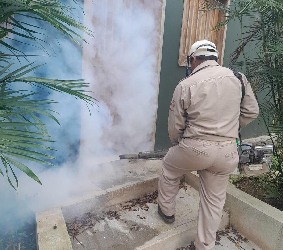 NEBULIZAN CONTRA EL DENGUE 76 MIL 520 HECTÁREAS DE CAMPECHE
