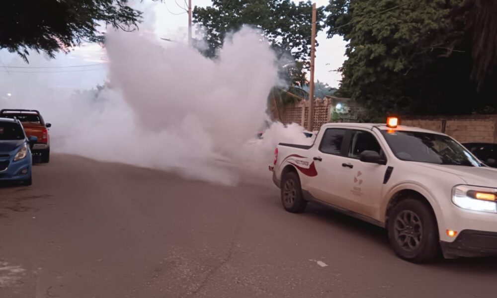 COMBATE AL DENGUE PERMANENTE EN TODO EL ESTADO