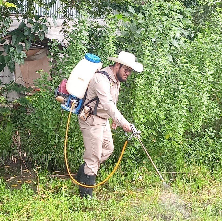 ELIMINAN CRIADEROS DE MOSQUITOS CON CONTROL LARVARIO PARA PREVENIR EL DENGUE