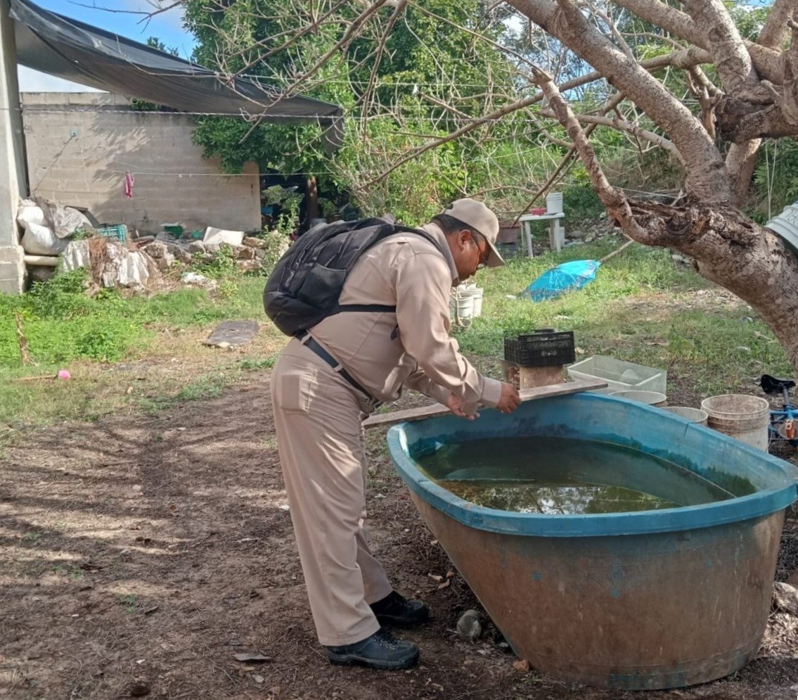ELIMINAN CRIADEROS DE MOSQUITOS CON CONTROL LARVARIO PARA PREVENIR EL DENGUE
