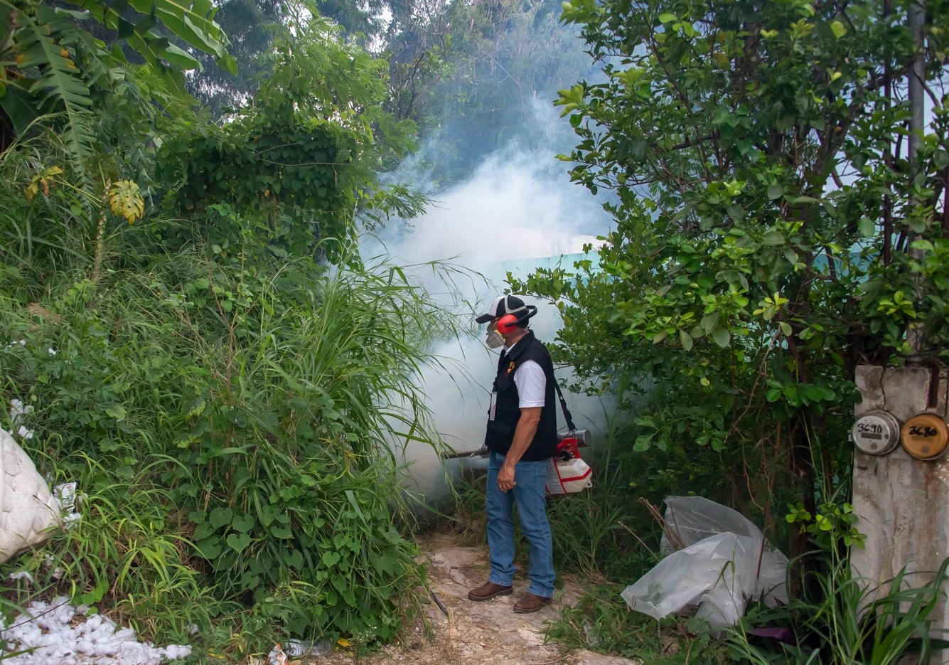 SSA REFUERZA MEDIDAS PARA REDUCIR CASOS E INCIDENCIA DEL DENGUE