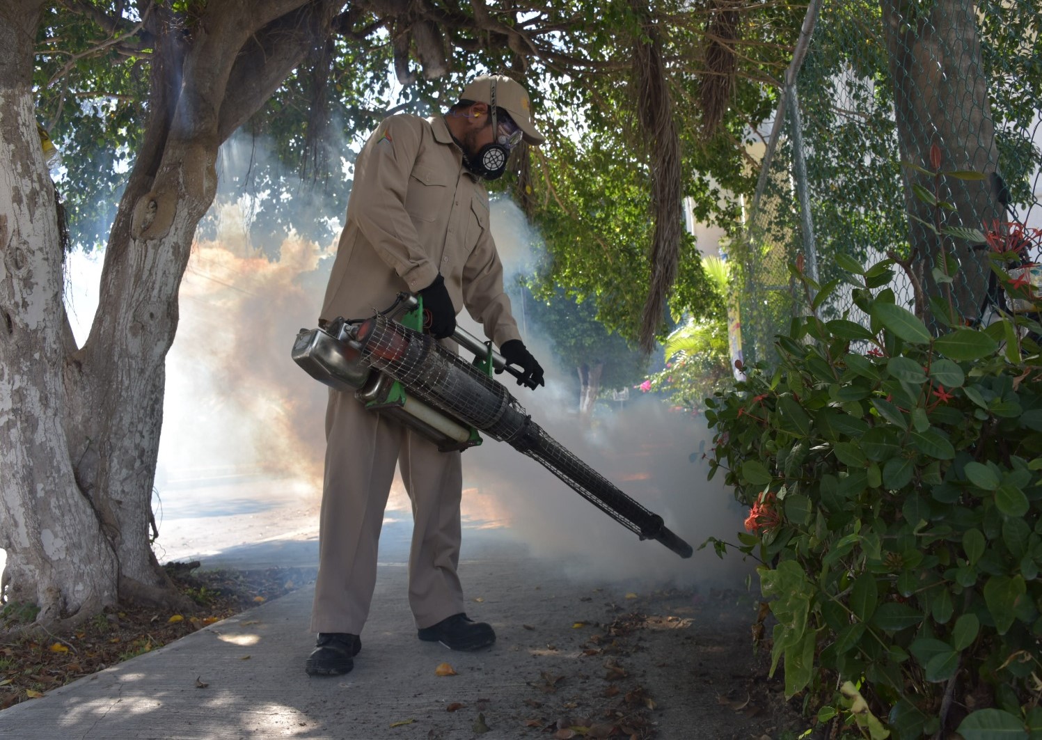 SSA REFUERZA MEDIDAS PARA REDUCIR CASOS E INCIDENCIA DEL DENGUE