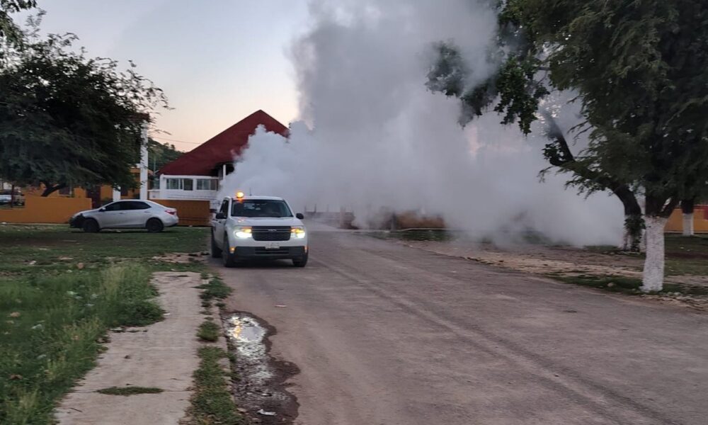 PERMANENTE COMBATE AL DENGUE EN CAMPECHE