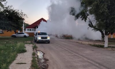PERMANENTE COMBATE AL DENGUE EN CAMPECHE