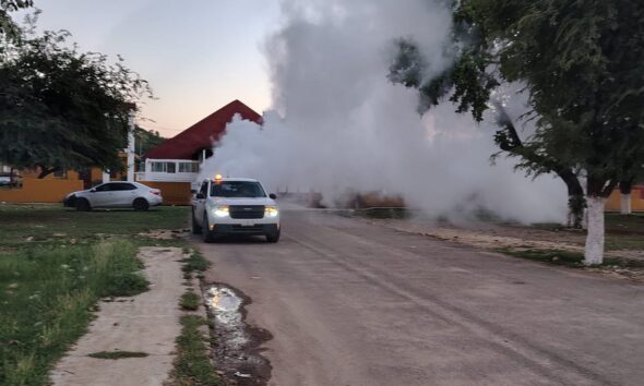 PERMANENTE COMBATE AL DENGUE EN CAMPECHE